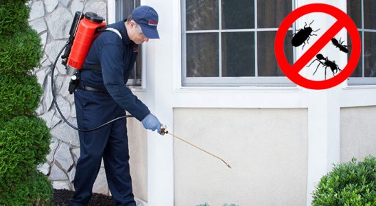 Araklı Böcek ve Haşere İlaçlama böcek ilaçlama ve haşere kontrolü — ilaclama-tr.com